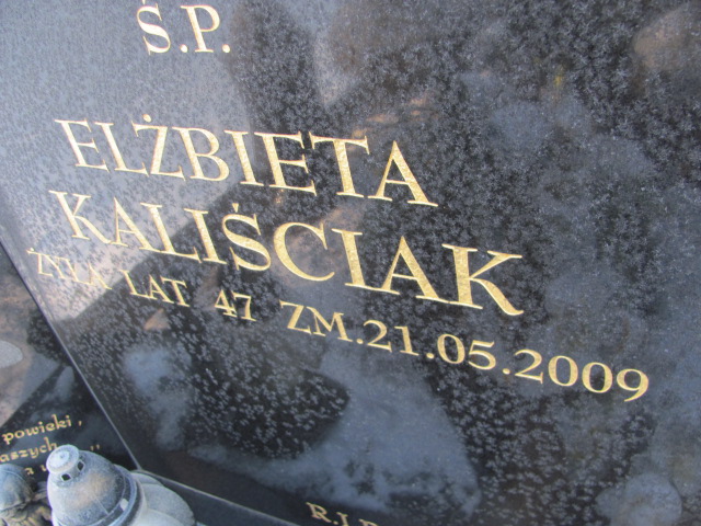 Elżbieta Kaliściak 1961 Czeladź Piaski - Grobonet - Wyszukiwarka osób pochowanych